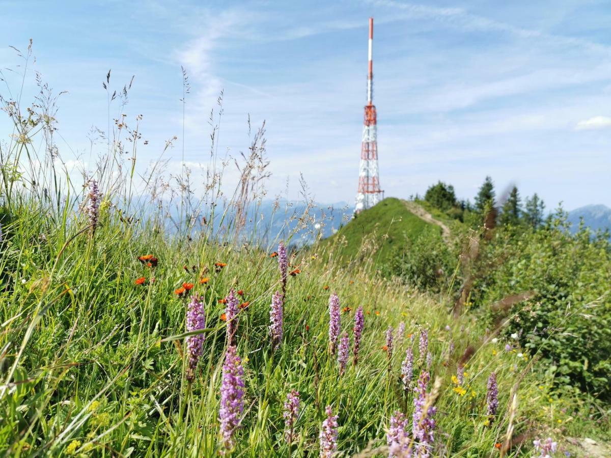 Ferienwohnung Am Eichwald Immenstadt im Allgäu Kültér fotó