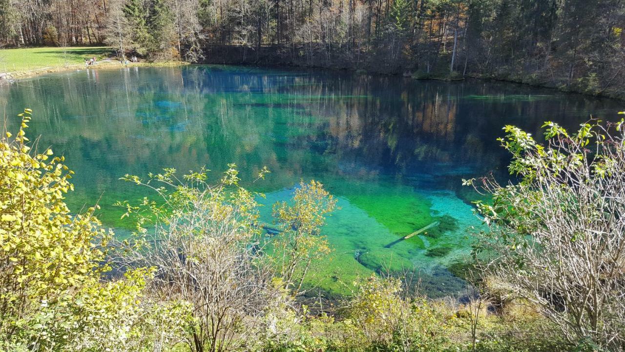 Ferienwohnung Am Eichwald Immenstadt im Allgäu Kültér fotó